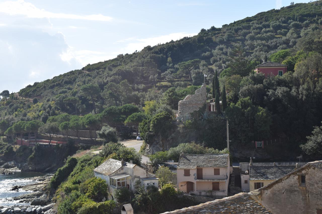 U Patriarcu Otel Cagnano Dış mekan fotoğraf