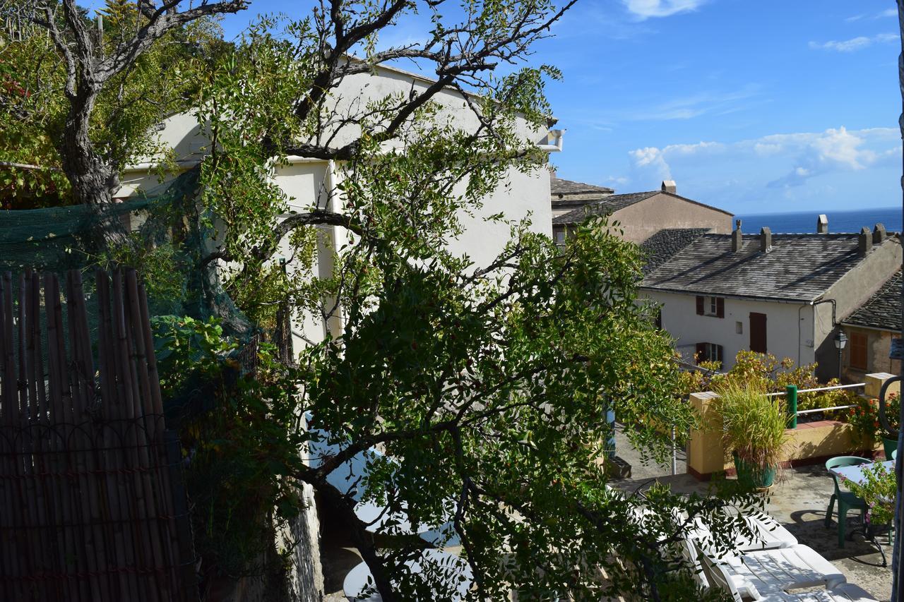 U Patriarcu Otel Cagnano Dış mekan fotoğraf