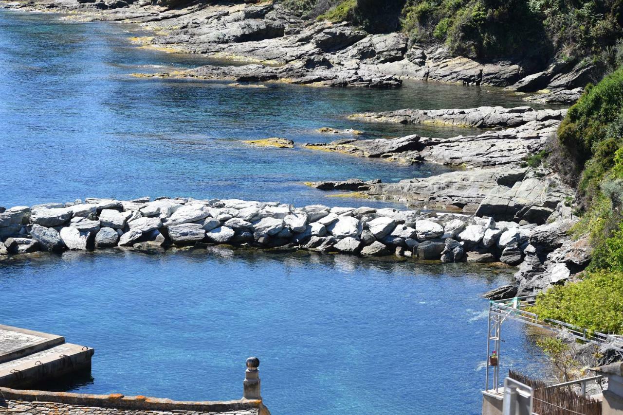 U Patriarcu Otel Cagnano Dış mekan fotoğraf